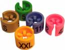 Cdc Hungria Kft - 