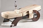 Bioholding Kft. - 