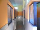 Kutyahotel - 
