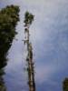Hegeds Pter - 