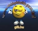 Weblapkszts - 
