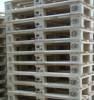 Complex-Palett Kft - 