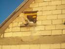 Irtoma- professzionlis krtevirts - 