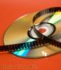 Hprint Color Kft. - 