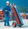 Morueco Kft. - 