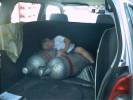 Morueco Kft. - 