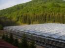 ASTER-RR Greenhius & Plant b.v. - 