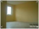 udvary pitipari kft - 
