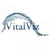 VitalV�z kft - 