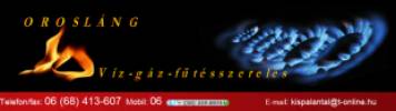 Kis-Pl Antal egyni vllalkoz - 