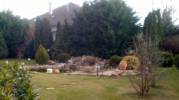 Aesculus Kertszet - toepites.hu - 