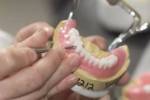 Beludent Fogtechnikai szolgltat betti trsasg - 