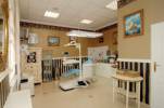 Dr. Dent Kft. - 
