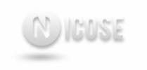 Niche Consulting and Services Kft. - 