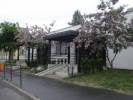 Dr. Bedk Mria - 