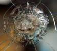 Delta Glass Service Kft. - 