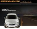 Burgenlandaut - 