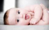 Spermadonor szolgltats - 