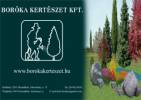 Borka-kertszet Kft. - 