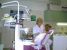 Dentabo Bt. - 