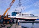 Ifj. Rzmann Jzsef ev. - 