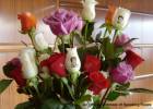 Speakingflowers - Beszl virgok - 