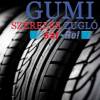 Sat Rol Gumszerviz - 