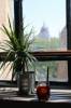 Steamhouse Cafe - 