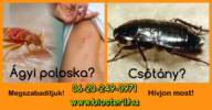Biosteril - 