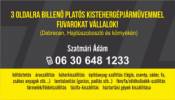 Szatmri dm - 
