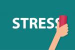 letmd Stdi - 