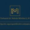 Farkasn dr. Molnr Mnika LL.M egyni gyvd - 