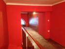 Brush Bros Hungary - 