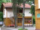 Bungall Panzi - 