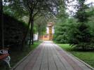 Bungall Panzi - 