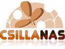 Csillans Webdesign s Honlapkszts gyr - 