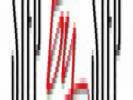 Step-by-Step Tnciskola - 