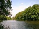 Noll tanya - 