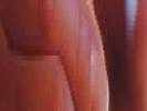 Makkos Judit b�rsz�mfejt� - 