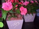 Faraggp-Plus Kft. - 