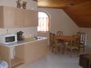 Mustang Ranch Panzi - 