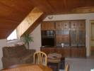 Mustang Ranch Panzi - 