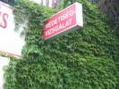 Aev-Mobil Kft. - 