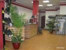 Amega Studio Kft. - 