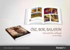 Misza Kft. - 