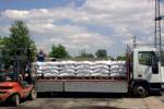 Srnszkyn Kele Rita - 