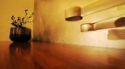 Rago Barbara - 