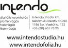 Intendo Stdi Kft. - 