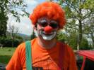 Trapi bohc - 