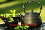 Suplic Zsolt - 